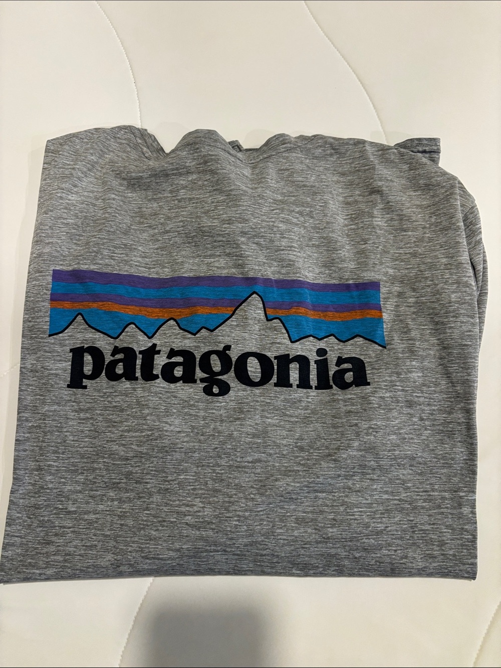 Patagonia Grey Crewneck Sweatshirt with Blue and Purple Mountain Stripe